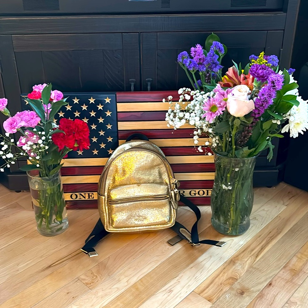 Coach mini backpack